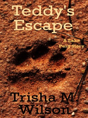 cover image of Teddy's Escape